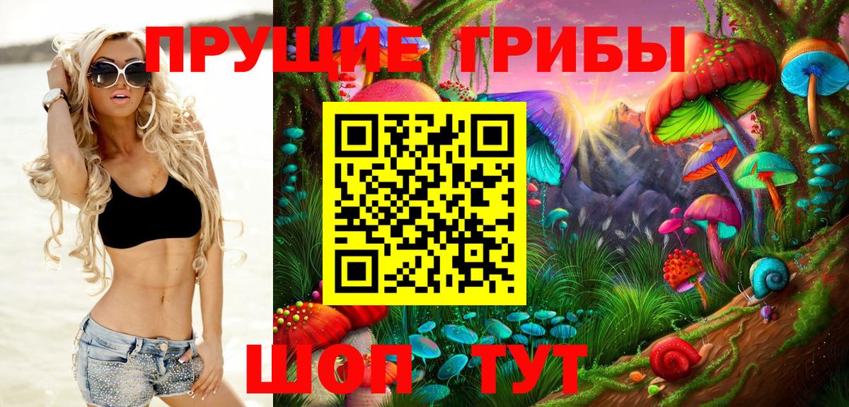 Ижевск  Галлюциногенные грибы мицелий  Псилоцибиновые грибы MAGIC MUSHROOMS  Вход с VPN 